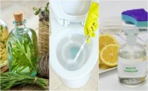 Sprzątanie łazienki - 5 ekologicznych środków czystości