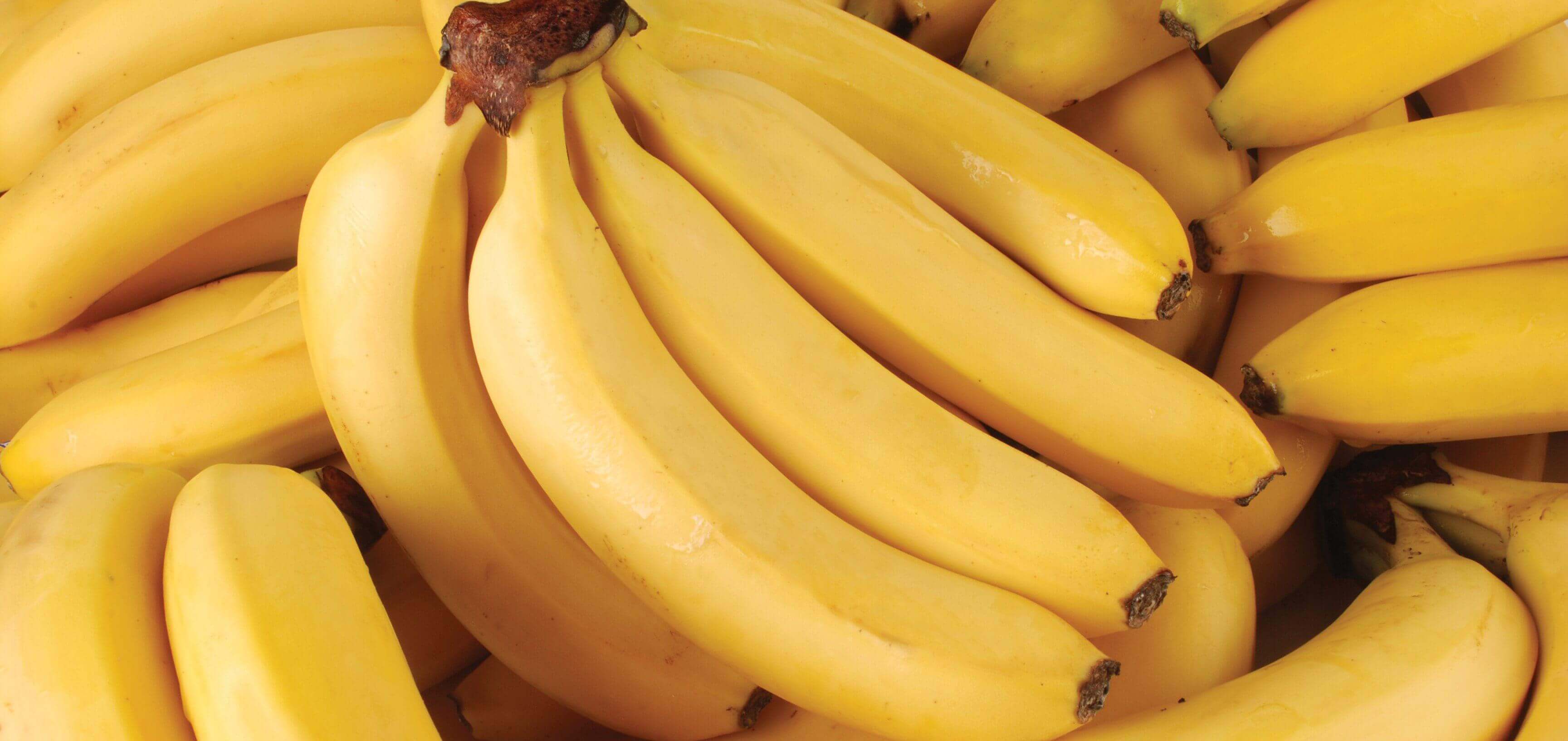  banany i plantany