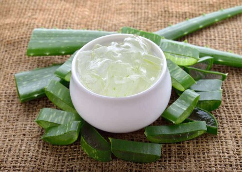 aloes na hemoroidy