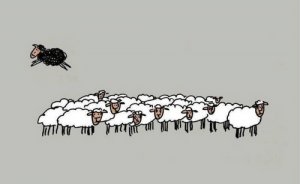 Czarna owca - cztery powody, dla których warto nią być