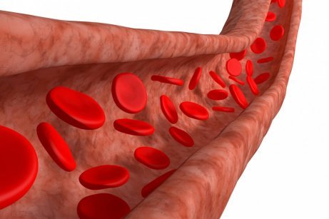 Komórki krwi nadciśnienie krwi