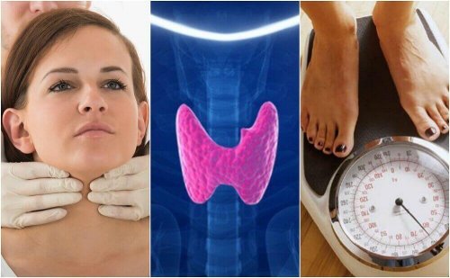 Niedoczynność tarczycy – 10 oznak Niedoczynność tarczycy – 10 oznak