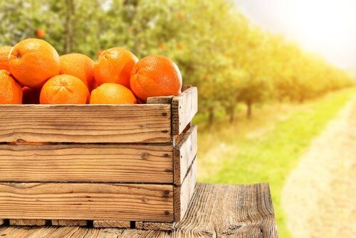 pomarańcze w skrzynce