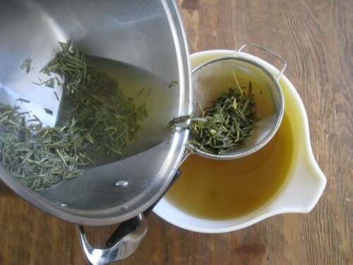 Napar z rozmarynu na bóle mięśni