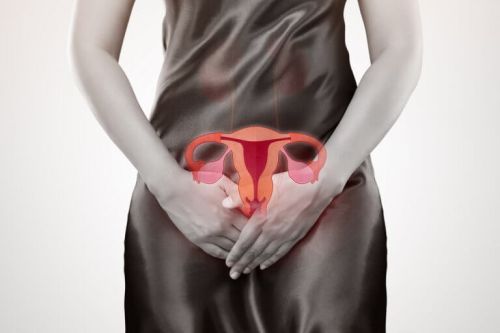 Kobiece narządy rozrodcze