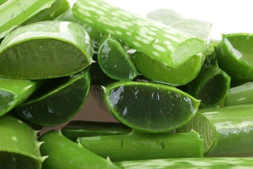 aloes