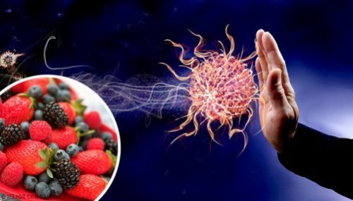 Układ immunologiczny: wzmocnij go dzięki tym produktom