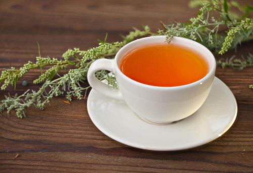 herbata z piołunu cukrzyca