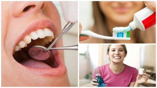 Higiena jamy ustnej i wpływ jakie mają na nią suszone śliwki