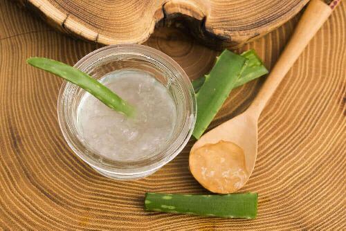 Aloes żel aloesu