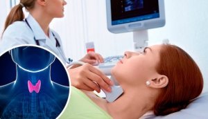 Fizjologia tarczycy – dowiedz się więcej!