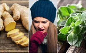 Zalegająca flegma? – Zioła pomogą ci się jej pozbyć