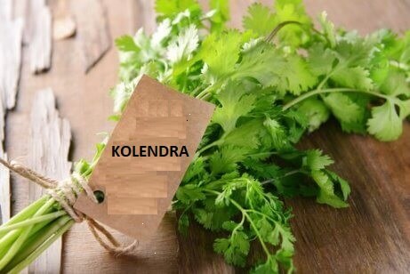 Kolendra czyli trutki na szkodniki