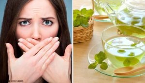 Mięta – odkryj jej zastosowanie i właściwości