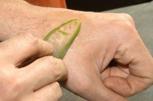 Nacieranie skóry rąk aloesem