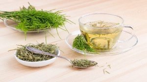 Skrzyp polny: poznaj jego niesamowite właściwości