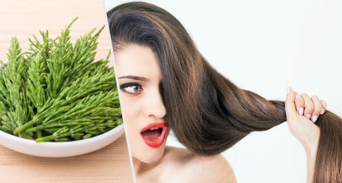 skrzyp pomaga wzmocinić włosy