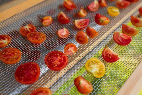 Gotowy odwadniacz - suszenie pomidorów