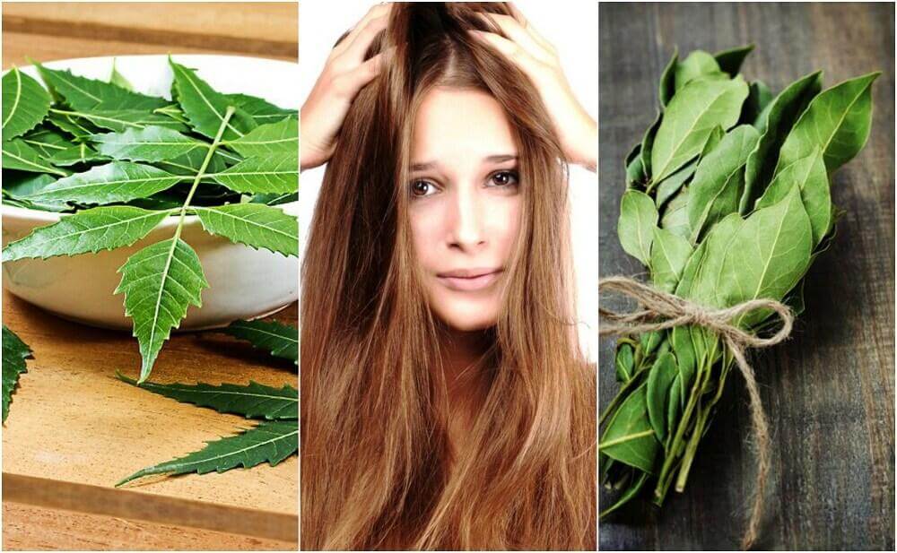 Tonik do włosów rozmaryn