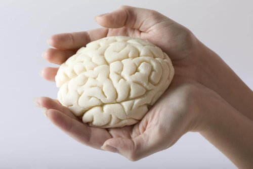 Trening mózgu, czyli 5 sposobów na poprawę pamięci