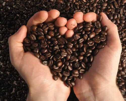 Ziarna kawy w dłoniach