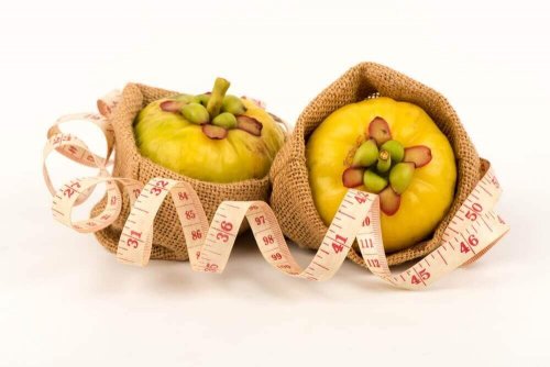 Garcinia cambogia – naturalna pomoc w odchudzaniu Garcinia cambogia – naturalna pomoc w odchudzaniu