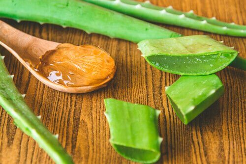 Aloes i żel z aloesu