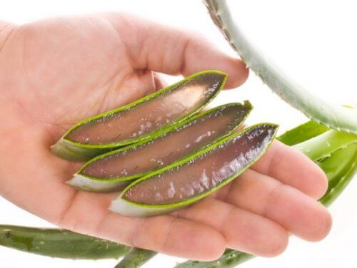 aloes na piękną skórę