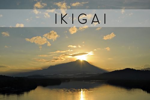 Ikigai - przeczytaj o japońskim sekrecie pomagającym w lepszym życiu