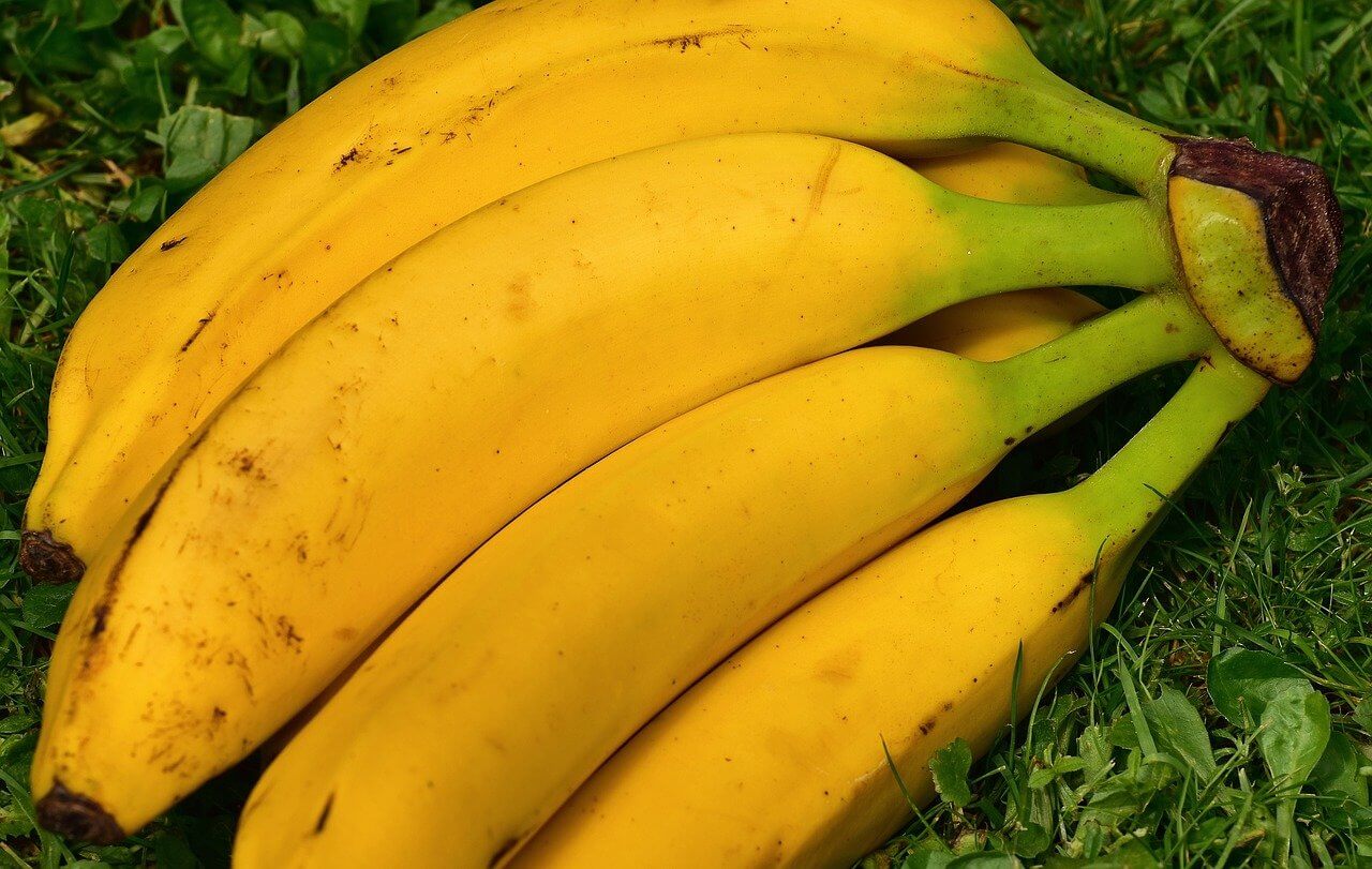 Kiść dojrzałych bananów