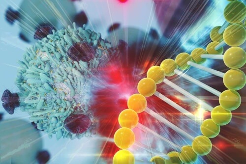 Naukowcy odkrywają mechanizmy inaktywacji chromosomu X.