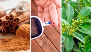 Leczenie cukrzycy roślinami – 5 najlepszych naparów