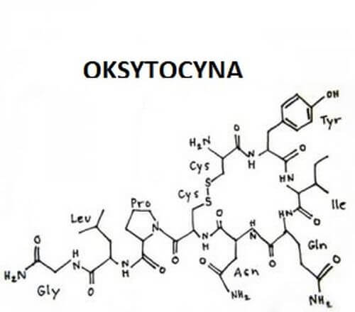 Oksytocyna- jak działa ten hormon miłości? Oksytocyna- jak działa ten hormon miłości?