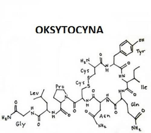 Oksytocyna- jak działa ten hormon miłości?