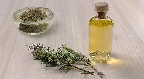 Olejek z rozmarynu składnik balsam