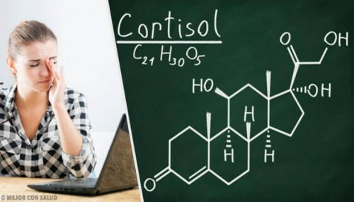Kortyzol – zdrowe nawyki obniżające jego wysoki poziom