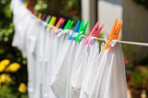 Jak usunąć pleśń z domu- unikaj wieszania prania