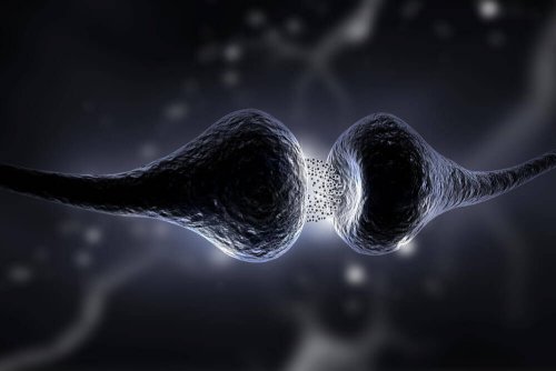 Dieta serotoninowa – dowiedz się na czym polega