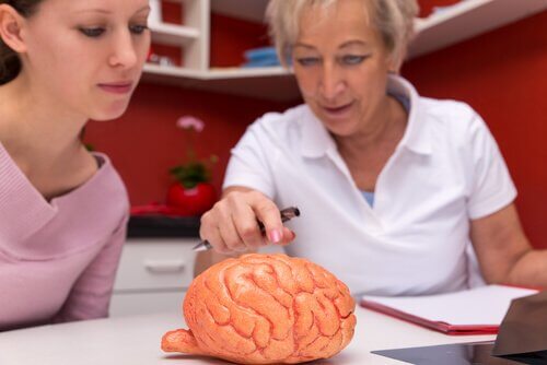 Kobiety badają mózg