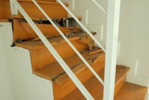 Termity w domu - dowiedz się, jak z nimi walczyć