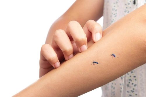 Naturalny środek na komary – witamina B1