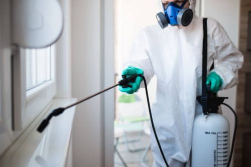 Człowiek wykonujący dezynfekcję