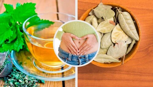 Problemy z trawieniem – 5 ziół przynoszących ulgę