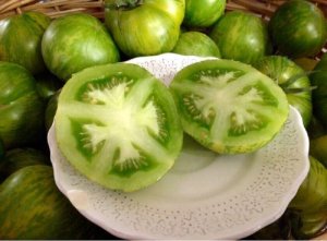 Zielony pomidor