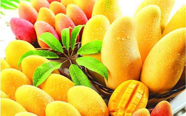 Owoce mango.