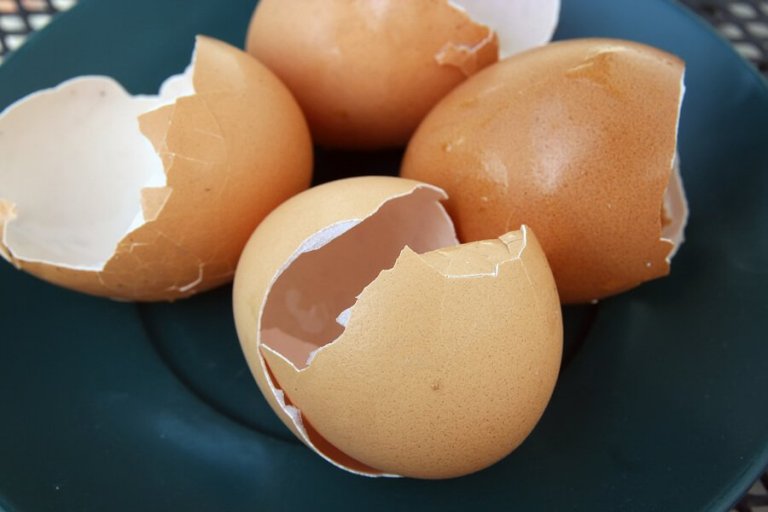 Skorupki jajek - 6 niecodziennych zastosowań w domu