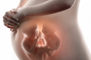 Bliźnięta jedno- i dwujajowe – czym się różnią?