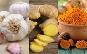 Antybiotyki naturalne zwalczą różnego rodzaju infekcje