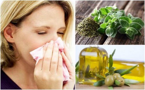 Układ oddechowy – ochroń go za pomocą oregano i oliwy z oliwek