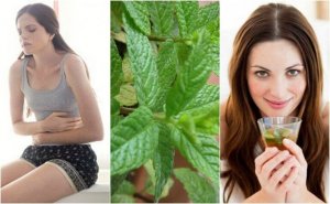 Mięta - 5 przyrządzonych domowym sposobem leków, które pokochasz